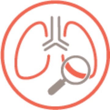 Procentul estimat al CVF, DL CO, gradul de fibroză observat pe HRCT