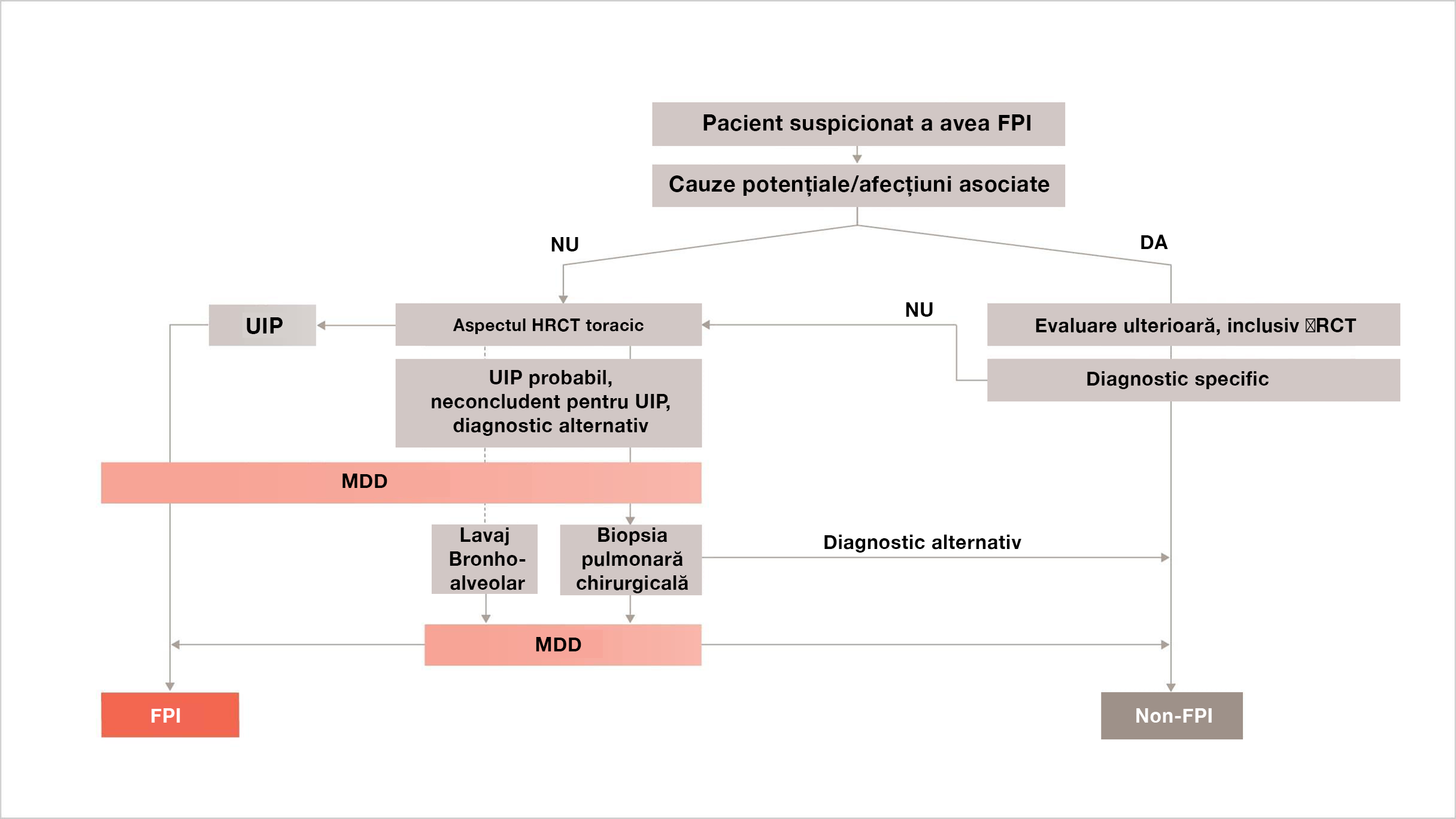 Algoritm de diagnostic pentru diagnosticarea precisă și în timp util a FPI din ghidurile ATS/ERS/JRS/ALAT