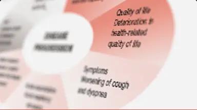 Progresia bolii în PID fibrozante progresive.